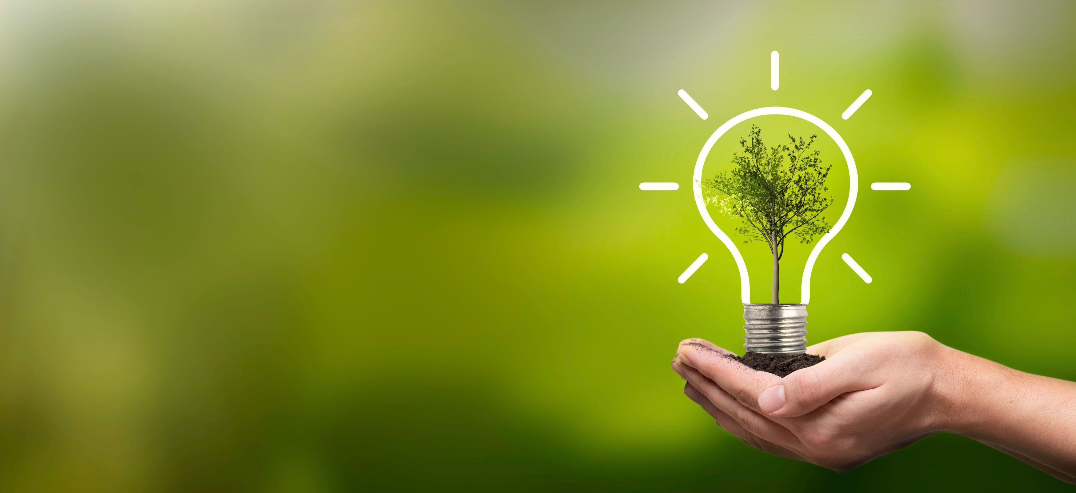 image of a hand holding soil from which emerges a lightbulb containing a tree, on a bright green background, as the banner image of the page